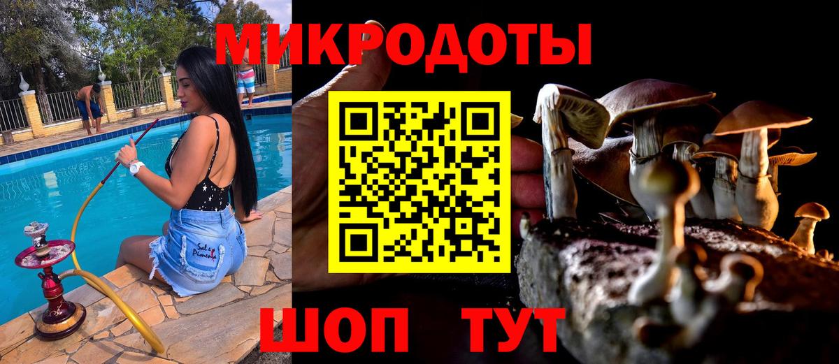 Псилоцибиновые грибы мицелий Кимовск
